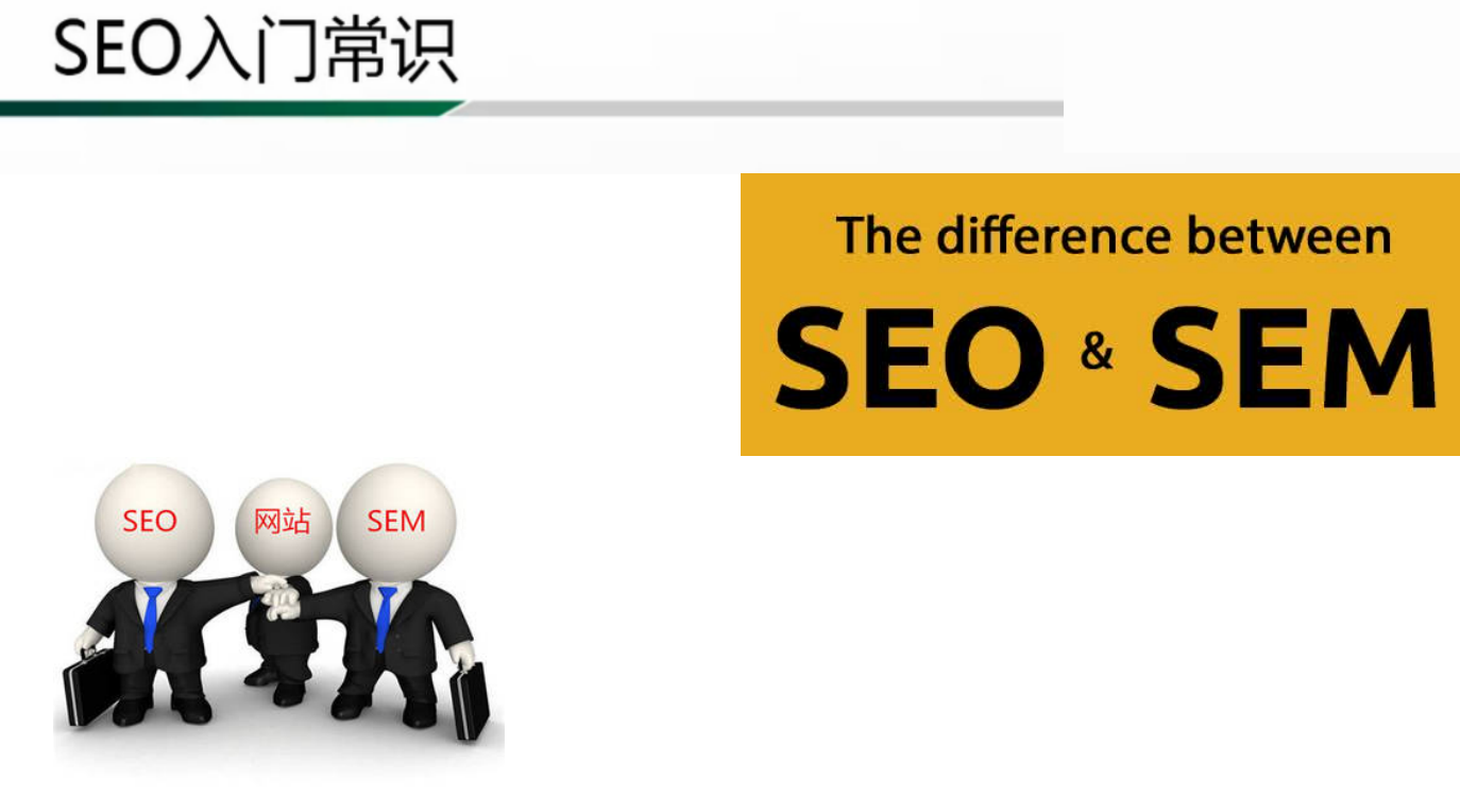 SEO 1的深入解析与SEO的双重应用