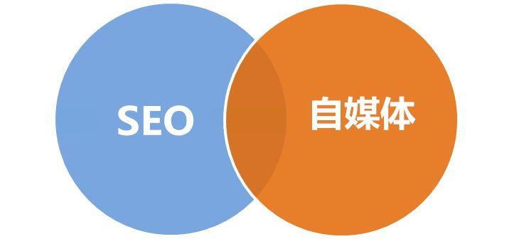 网站SEO与网店SEO，提升在线业务的关键策略